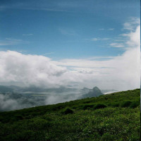 Samba, Rainforests & Iconic Coastal Wonders