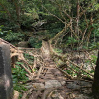 Nature&rsquo;s Living Wonder of Meghalaya