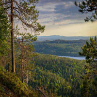 Feel the Silence & Beauty of Finland
