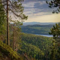 Feel the Silence & Beauty of Finland