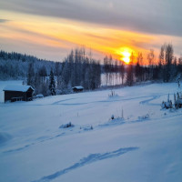 Feel the Silence & Beauty of Finland