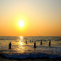 Tropical Paradise of Beaches & Nightlife
