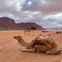 Jordan Escape &ndash; Petra, Desert & Dead Sea