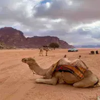 Jordan Escape &ndash; Petra, Desert & Dead Sea