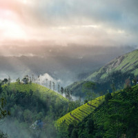 Discover Beautiful Kerala