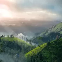 Discover Beautiful Kerala