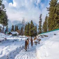 An Unforgettable Experience of Kashmir