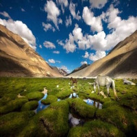 Ultimate Leh Ladakh Adventure | With Turtuk Village
