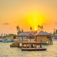 Island Paradise Escape