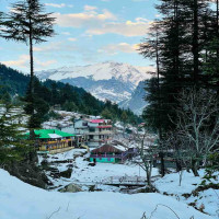 Shimla Manali Delight