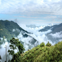 Explore the Untouched Beauty of Nagaland