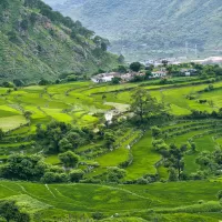 Kumaon Delight &ndash; Nainital Ranikhet Tour Package