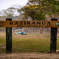 Wari Chora Adventure & Kaziranga Wildlife Meghalaya Tour