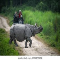 Mesmerizing Assam Escape