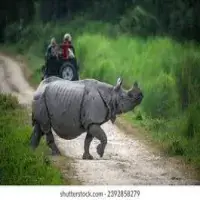 Mesmerizing Assam Escape