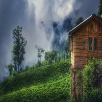 Sikkim & Darjeeling Tour Package &ndash; Himalayan Beauty, Tea Gardens & Mountain Views