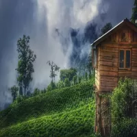 Sikkim & Darjeeling Tour Package &ndash; Himalayan Beauty, Tea Gardens & Mountain Views