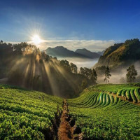 Tamil Nadu Heritage & Coastal Escape