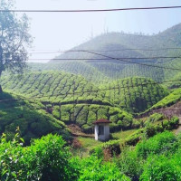 Hidden Paradise &ndash; Ziro Valley