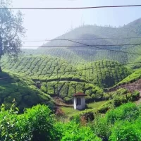 Hidden Paradise &ndash; Ziro Valley