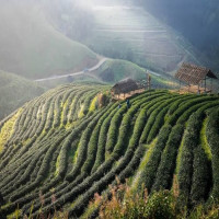 From the Cultural Charm of Kolkata to the Misty Hills of Darjeeling&rdquo;