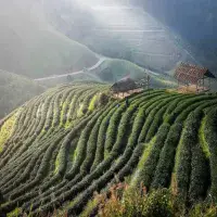 From the Cultural Charm of Kolkata to the Misty Hills of Darjeeling&rdquo;