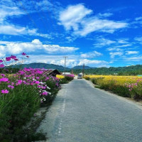 Hidden Paradise &ndash; Ziro Valley