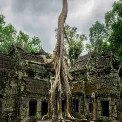 view 3