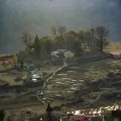 Exquisite view