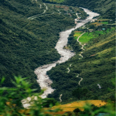 Scenic view