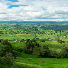 Rolling Green Valley