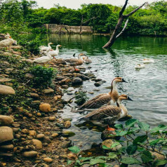 Van Vihar National Park