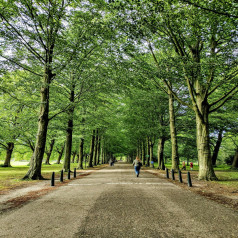 vondel park view