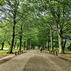 vondel park view