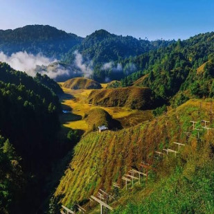 Hidden Paradise &ndash; Ziro Valley