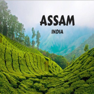 Mesmerizing Assam Escape