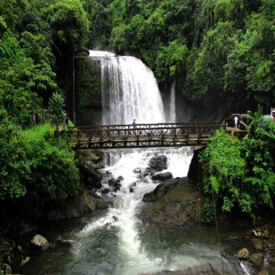 Nature&rsquo;s Living Wonder of Meghalaya