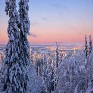 Feel the Silence & Beauty of Finland