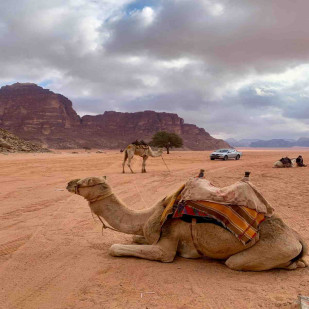 Jordan Escape &ndash; Petra, Desert & Dead Sea