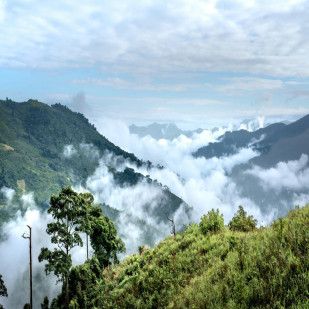 Explore the Untouched Beauty of Nagaland