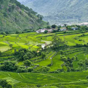 Kumaon Delight &ndash; Nainital Ranikhet Tour Package