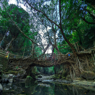 Meghalaya's Beauty