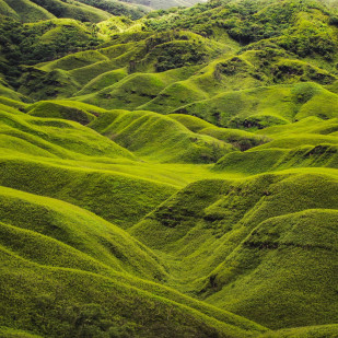 Nagaland Tour Packages