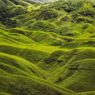 Nagaland Tour Packages