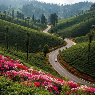 Tamil Nadu Heritage & Coastal Escape