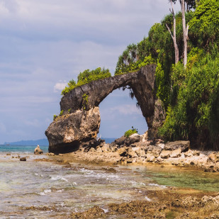Explore Neil Island & Bharatpur Beach