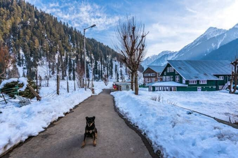 Day 06: Pahalgam Sightseeing | Return to Srinagar
