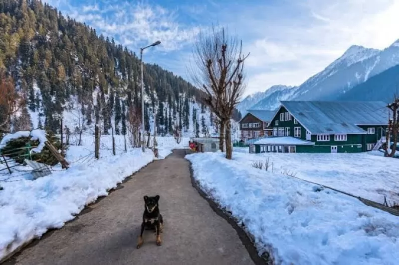 Day 06: Pahalgam Sightseeing | Return to Srinagar