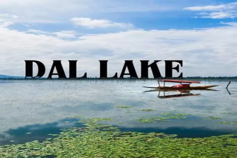 Day 07: Srinagar Leisure & Local Exploration