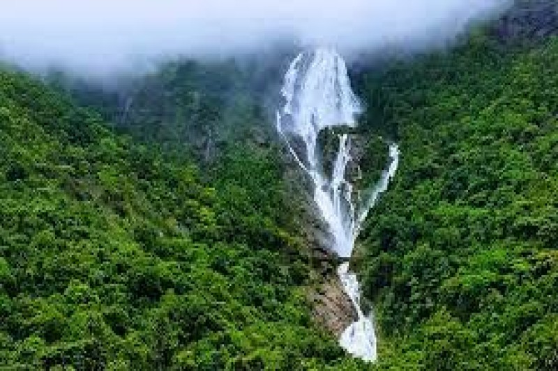 Day 03: Dudhsagar Waterfall & Spice  Plantation
